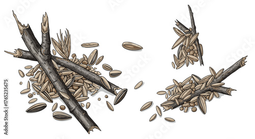 Artistic depiction of seeds and sticks, natural elements composition.