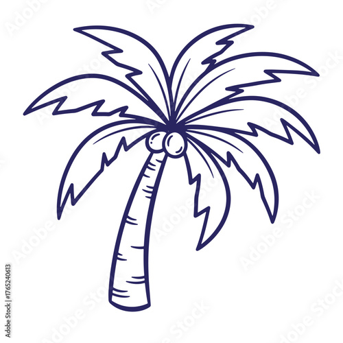 Hand drawn illustration of a stylized palm tree with coconut fruits in doodle out line style