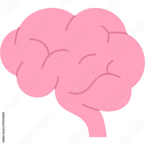 Brain Illustration