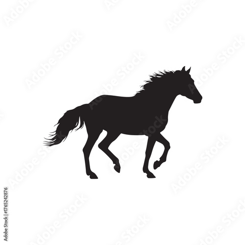 horse silhouette isolated on white on white back ground