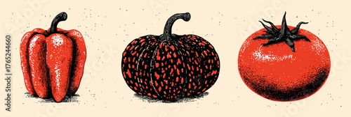 Vektorillustration von roter Paprika, Warzenkürbis und reifer Tomate auf hellem Hintergrund.