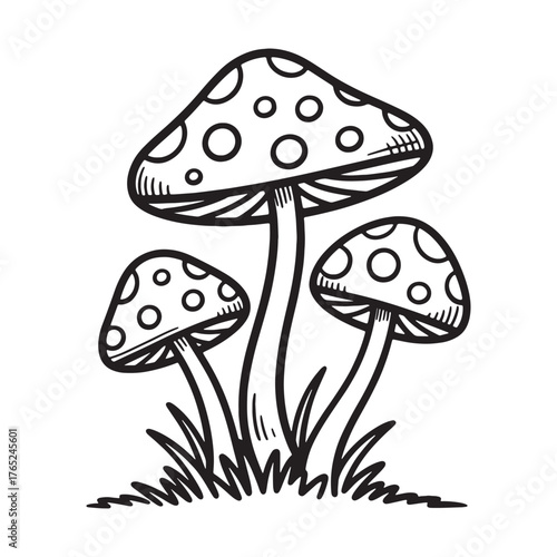 Black and white line art illustration of wild mushrooms design