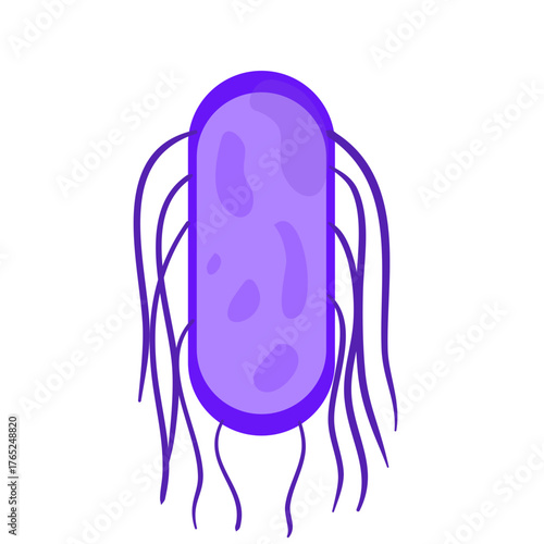 Salmonella Typhi Vector Illustration. Salmonella Typhi structure