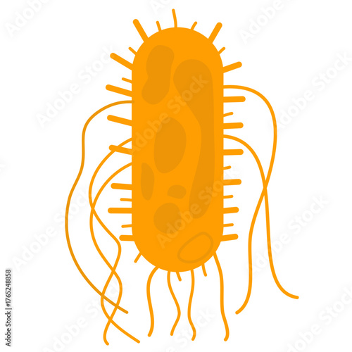 Salmonella Typhi Vector Illustration. Salmonella Typhi structure