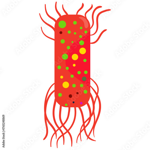 Salmonella Typhi Vector Illustration. Salmonella Typhi structure