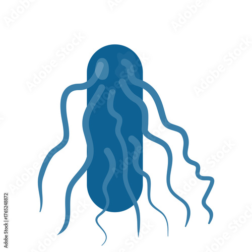 Salmonella Typhi Vector Illustration. Salmonella Typhi structure