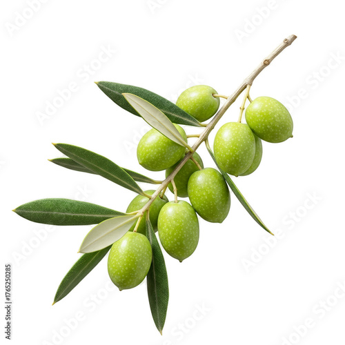 Green Olives On Branch Realistic Photo With Soft Green Background