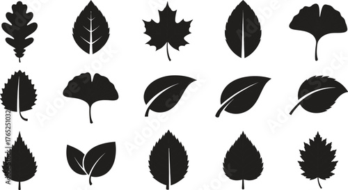 Leaf icons set ecology nature element, green leafs, environment and nature eco sign. Leaves on white background