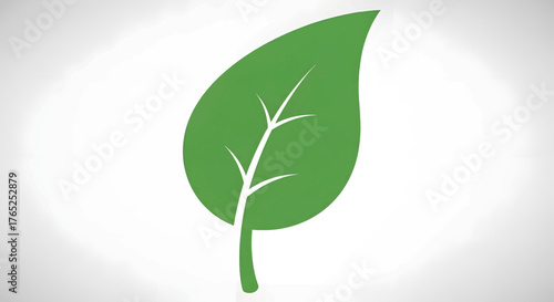 A simple graphic illustration of a single green leaf with veins on a white background.