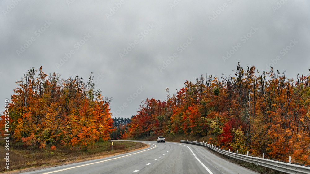 Fototapeta premium Highway in autumn forest