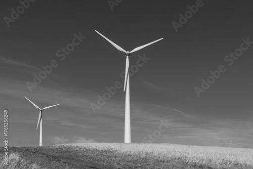 wind turbines in the field