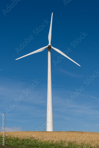 wind turbines in the field