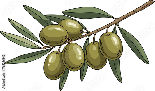 Olive Branch with Green Olives Hanging Fresh, Awaiting Harvest in a Mediterranean Grove, Symbolizing Health, Nutrition, and Culinary Excellence for Restaurant Menus, Food Packaging, and Lifestyle Desi