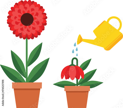 Red Flower Blossom Being Watered for Growth in Garden Pot, Cartoon Style Illustration for Horticulture Education, Plant Care, and Gardening Concepts, Agriculture, Healthy Living, Promoting Growth and