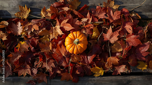 Small pumpkin surrounded by colorful autumn leaves on a rustic surface.