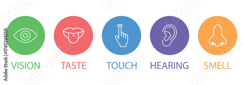 Five human senses editable stroke outline icons set. Flat vector illustration of human senses including ear, eye, nose, lips, and hand in minimalist design style. Vector illustration eps 10. 