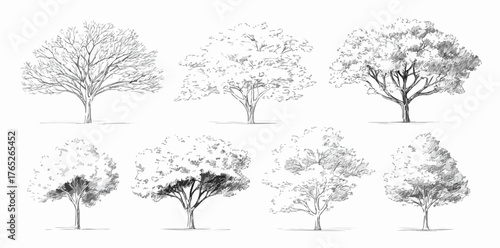 このベクターイラストレーションセットは、様々な季節や形態を表現した手描きの樹木をモノクロで収録しており、多様なデザイン用途に活用できる汎用性の高いグラフィック素材です。