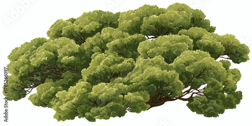 緑豊かな木々のイラストは、自然の美しさと生命力を表現しています。