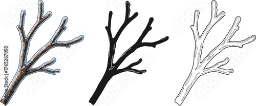 Bare tree branch illustration in color, silhouette, and outline style