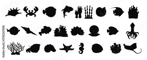 sea life animals sea shells and coral reef cartoon collection