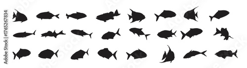 sea fish silhouette collection of ocean fish silhouette