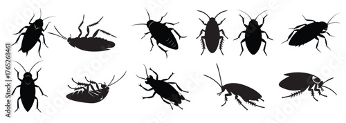 Set of Black silhouettes of cockroaches isolated on white background. Black and white illustration. Icon, sign, pictogram. Pest control and infestation concept for design, print, educational material