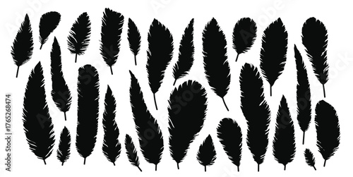 set of decorative colored animals tribal feathers vector