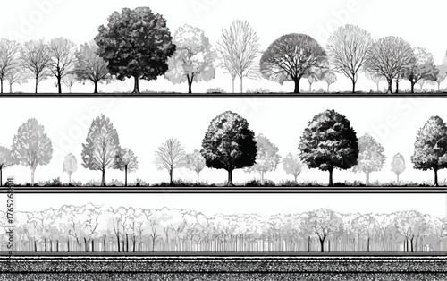 Wektorowa ilustracja czarno-białego lasu z różnymi rodzajami drzew, idealna do projektów przyrodniczych i krajobrazowych.