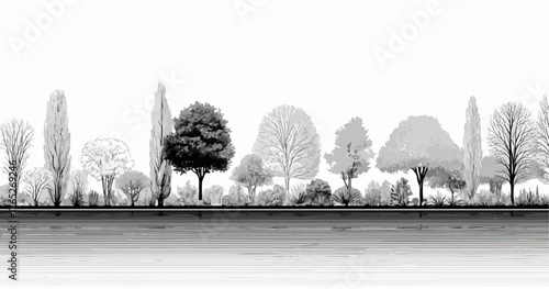 Różnorodne drzewa liściaste i iglaste tworzą malowniczy krajobraz parkowy na tle białej przestrzeni.