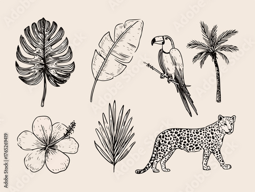 Stylizowany zestaw tropikalnych elementów graficznych z roślinami i zwierzętami w stylu rysunkowym.