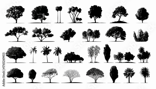 Zbiór czarno-białych wektorowych grafik drzew o różnorodnych kształtach i rozmiarach.