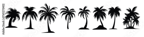 silhouetted palm trees set against a white background