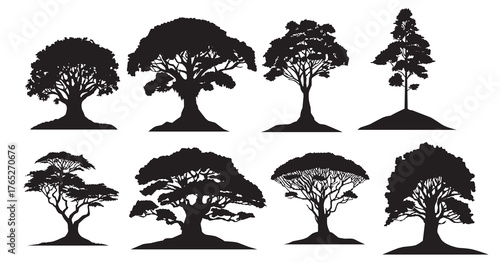 silhouettes of various tree designs showcasing different