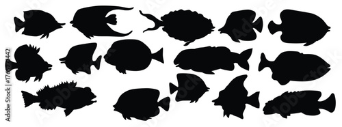 tropic fish silhouette vector illustration