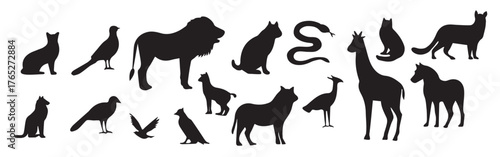 Zoo animals collection. Vector illustration