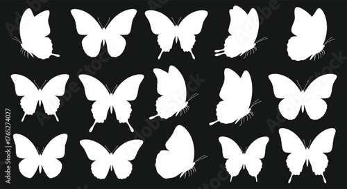 White Silhouettes of Butterflies on a Black Background.