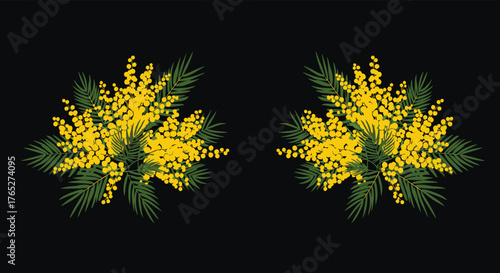 Two Mimosa Flowers on Dark Background - Floral Arrangement.