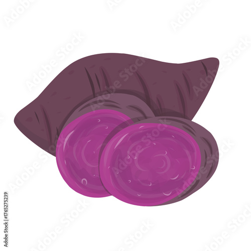 Purple Sweet Potato Illustration. Whole and sliced tubers with vibrant purple flesh. Healthy root vegetable vector.