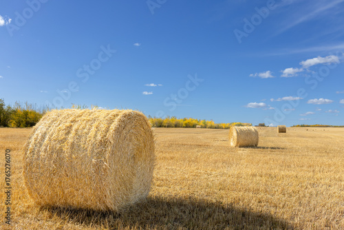 bales of straw