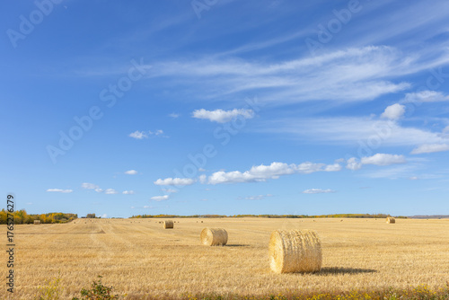 straw bales on a field