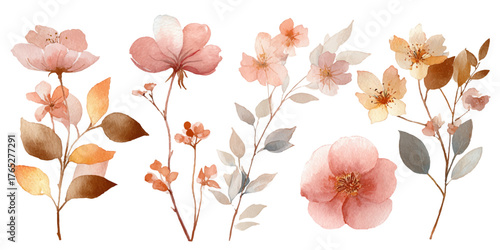 Delicate painted floral arrangement soft pink peach botanical garden watercolor bloom