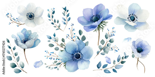 Collection of delicate blue and white anemone flowers with green foliage on a white background