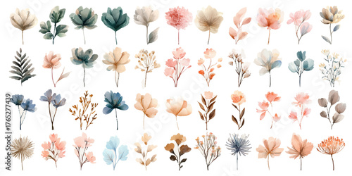 bush of flowers on white background. Bush tree flower of bougainvillea on isolated transparent background	