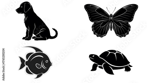 High Contrast Visual Stimulus  for Babies black and white picture newborn baby Visual Stimulation  for babies 1-3 months old