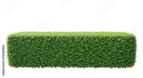 Boxwood hedge rectangle for landscaping design isolated PNG with Transparent Background