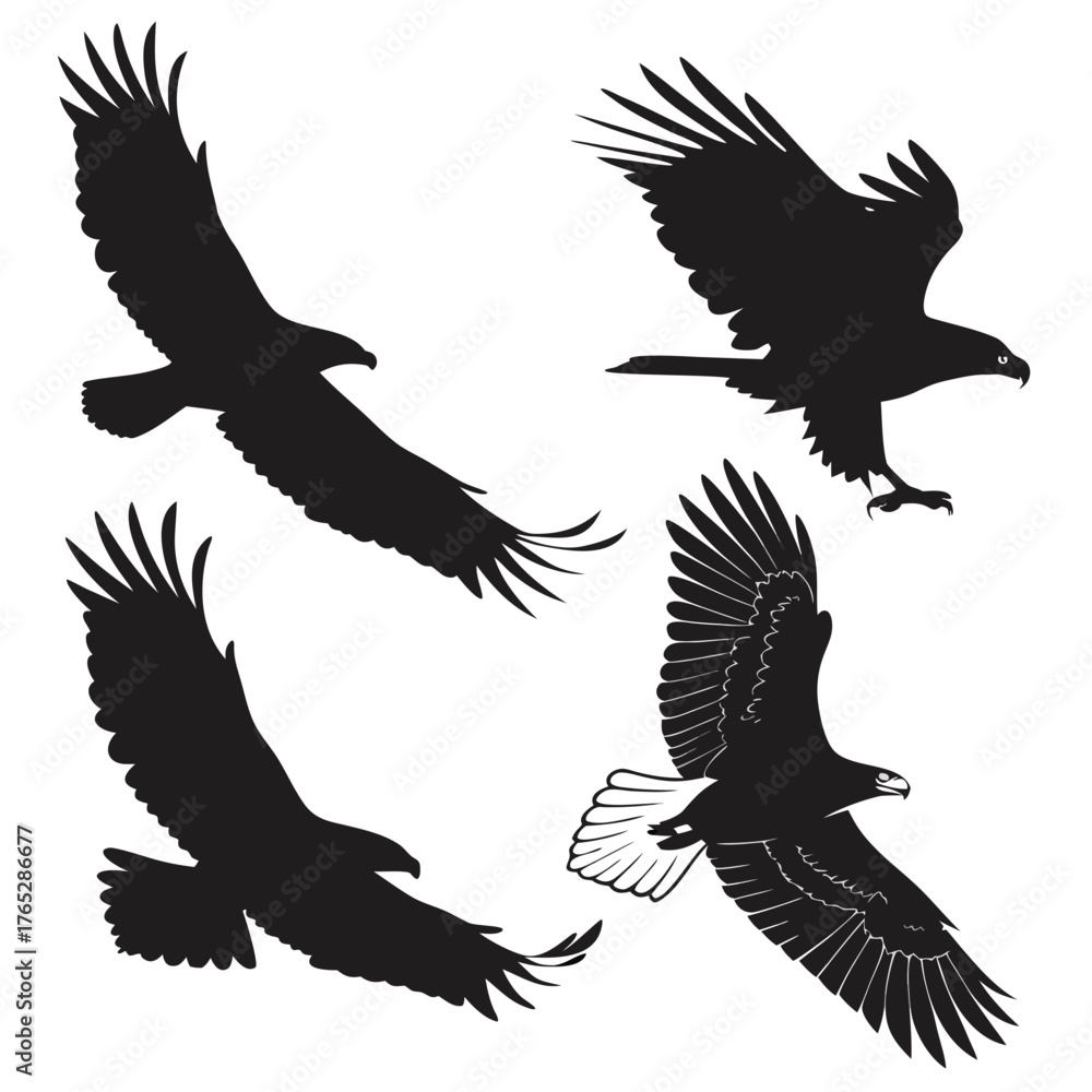 Fototapeta premium Four black eagle silhouettes in flight on white background