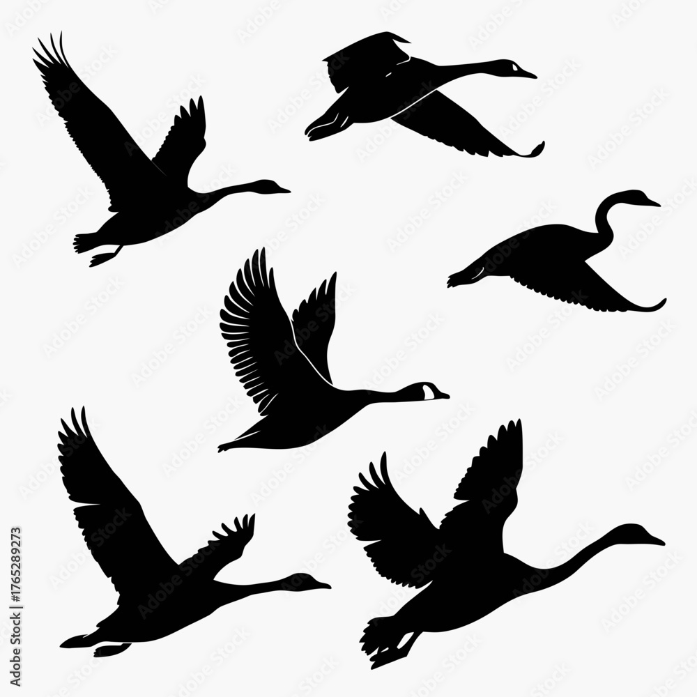 Obraz premium Six black goose silhouettes in flight on white background