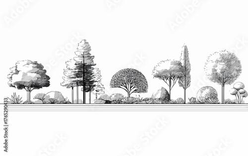 다양한 종류의 나무와 식물들이 흑백으로 표현된 벡터 일러스트레이션으로, 자연의 고요함과 아름다움을 담아냈습니다.