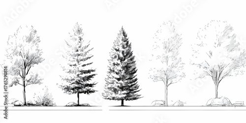 다양한 종류의 나무를 흑백 선화 스타일로 표현한 벡터 일러스트레이션으로, 자연적인 분위기를 연출합니다.