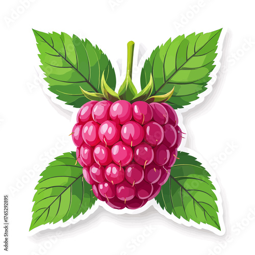Colorful raspberry with green leaves, cartoon-style fruit illustration, isolated on white